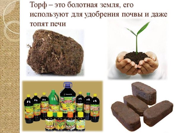 Торф для дошкольников