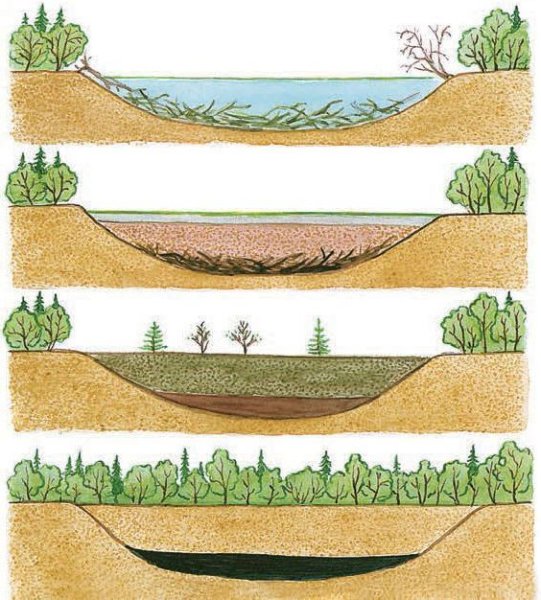 Нарисовать торф