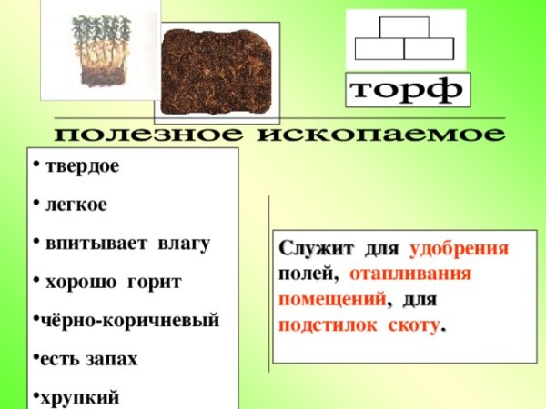 Характеристика торфа