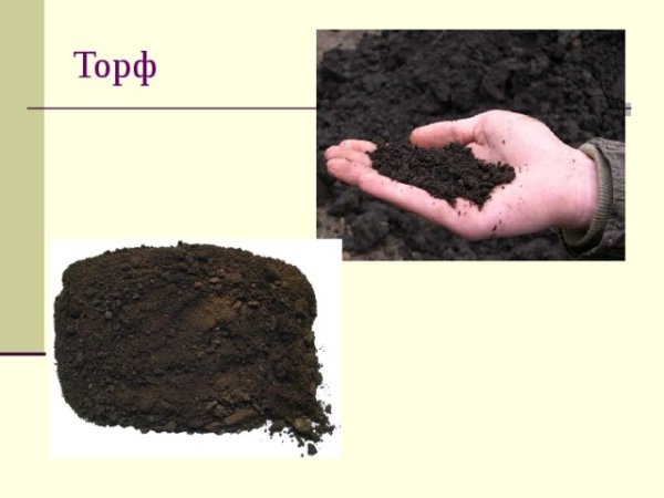 Природные ископаемые торф