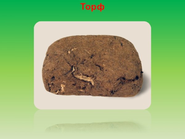 Торф в разрезе