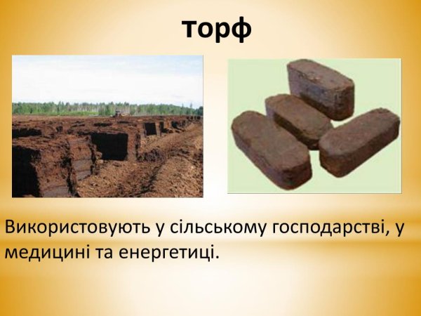 Торф и его производные