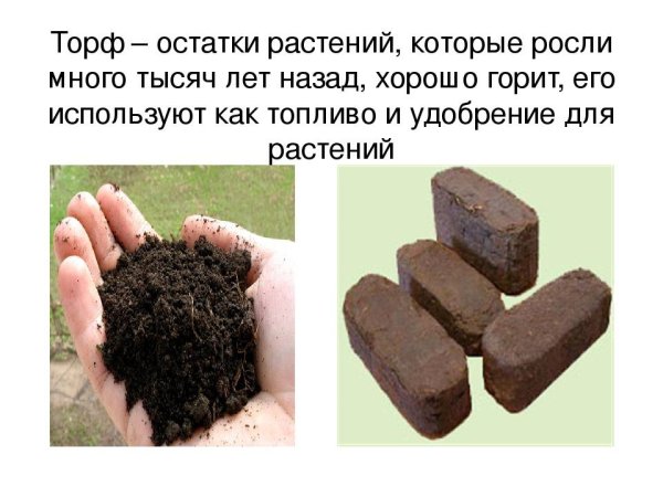 Торф растительный