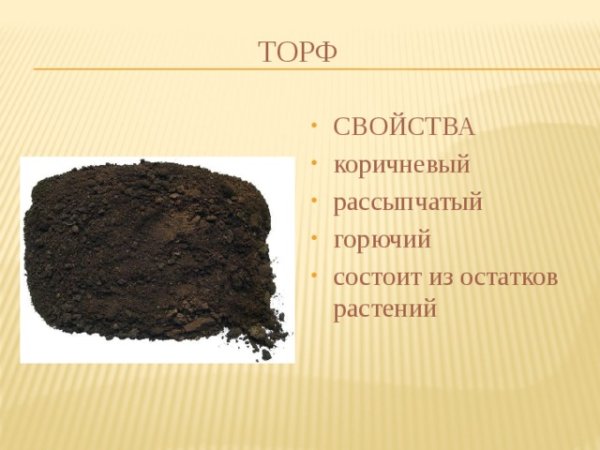 Торф полезное ископаемое