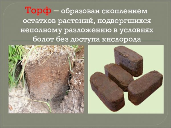 Торф растительный