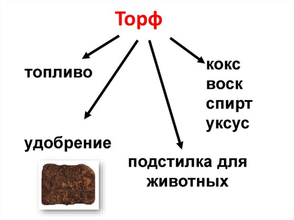 Торф окружающий мир