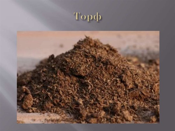 Торф полезное ископаемое