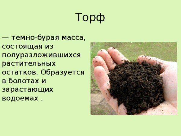 Торф карточки для детей
