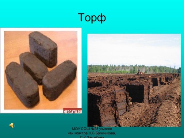 Полезные ископаемые Кировской области торф 4 класс