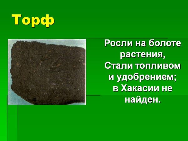 Полезные ископаемые торф