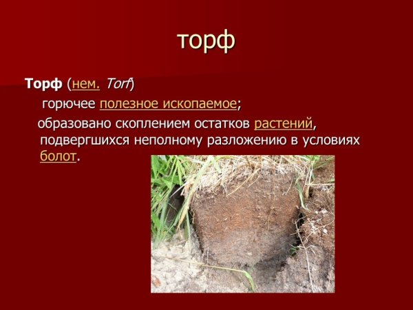 Торф горючее ископаемое