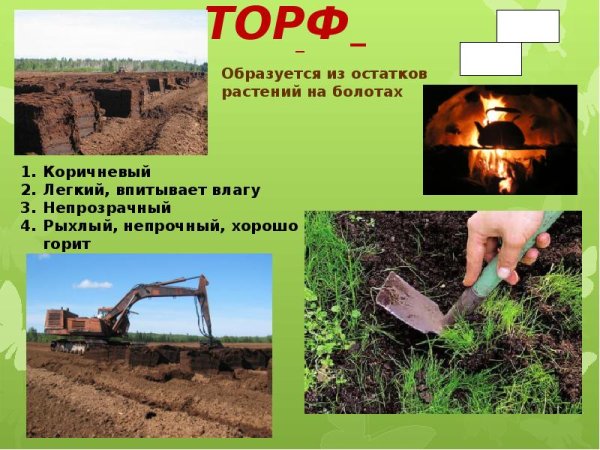 Полезные ископаемые торф
