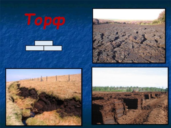Доклад по окружающему миру 4 класс на тему полезные ископаемые торф