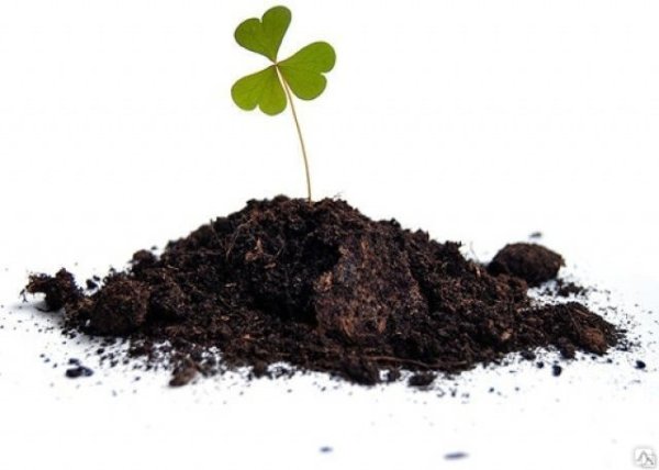 Торф на белом фоне