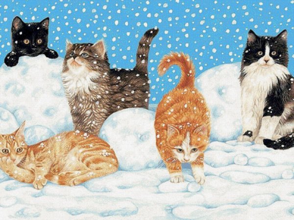 Зимние котята
