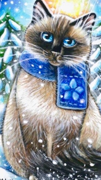 Зимний кот в шарфике