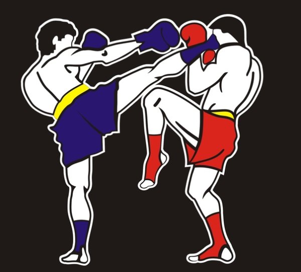 Наклейки кикбоксинг