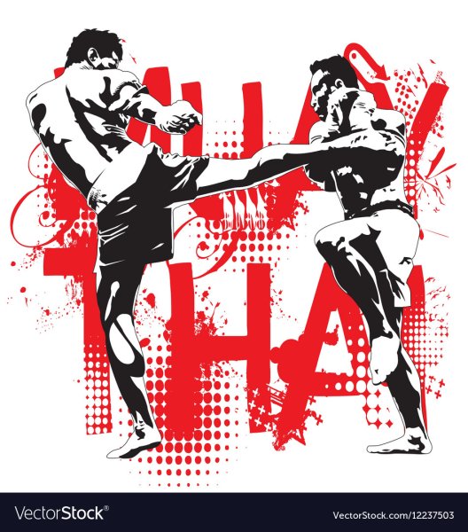 Тайский бокс вектор