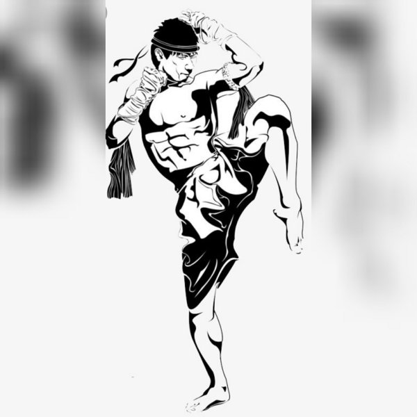 Бойцы Муай Тай логотипы