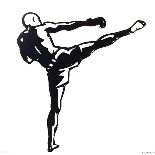 Кикбоксинг вектор