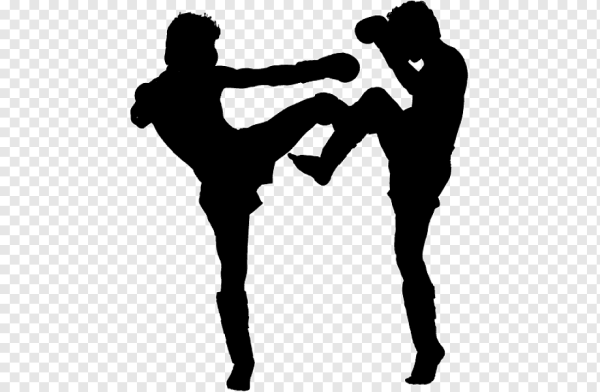 Тайский бокс силуэт