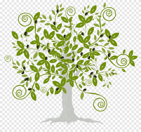 Оливковое дерево вектор