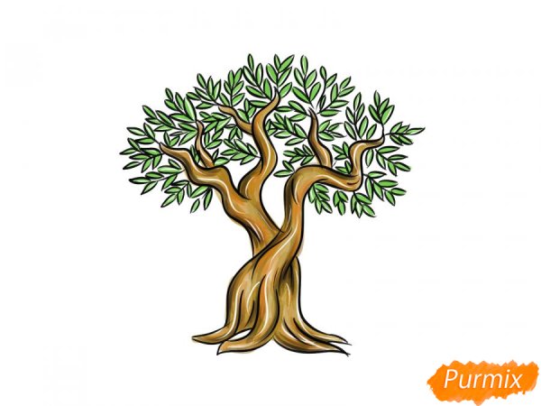 Оливковое дерево нарисовать