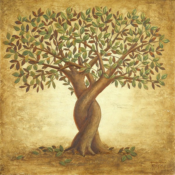 Оливковое дерево на стене