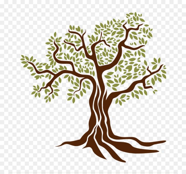 Оливковое дерево вектор