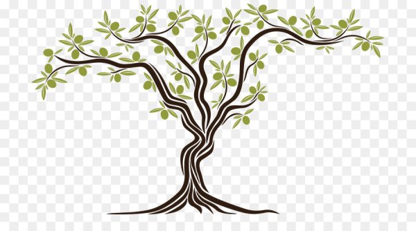 Оливковое дерево вектор