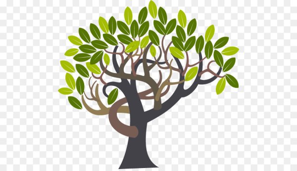 Оливковое дерево вектор