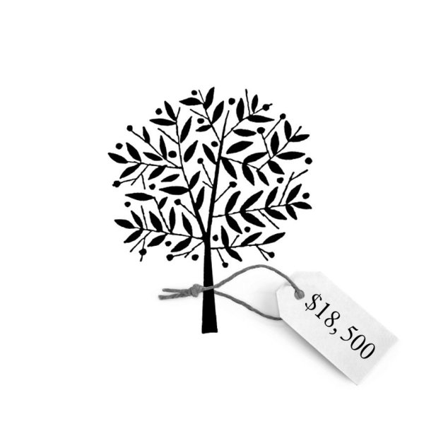 Оливковое дерево легко