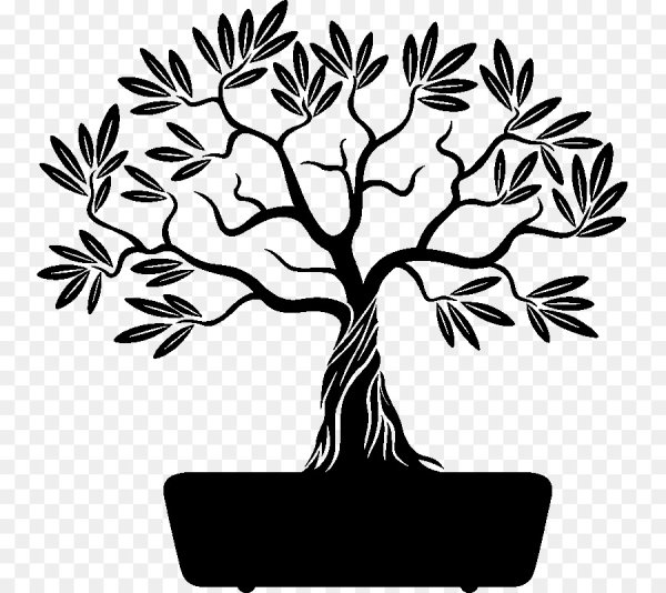 Оливковое дерево