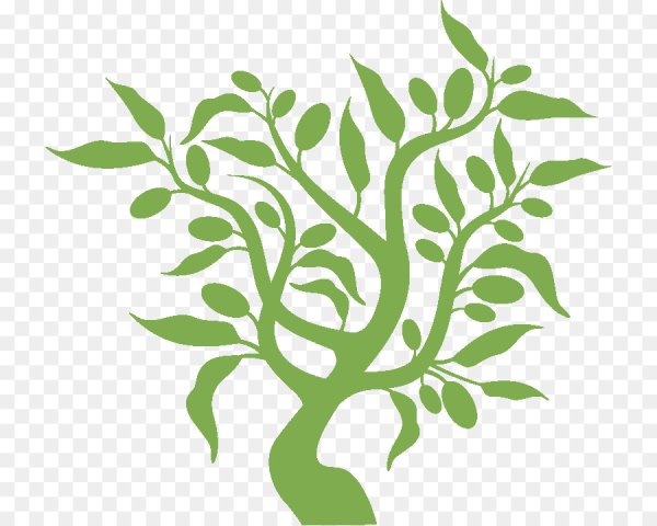 Оливковое дерево вектор