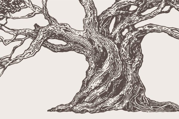 Дерево Графика