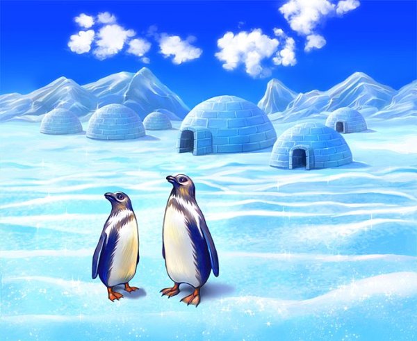 Путешествие на Северный полюс для детей