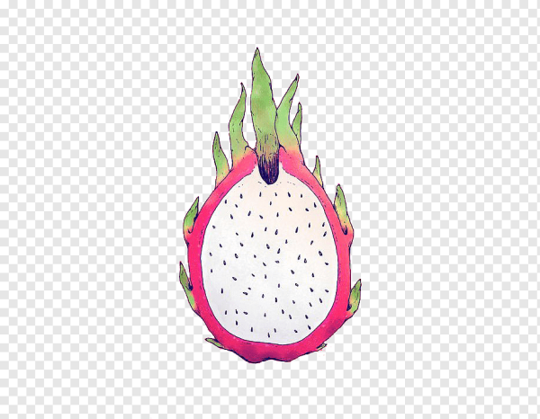 Питайя Драконий фрукт рисовать