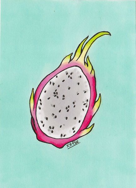 Драгон фрукт иллюстрация