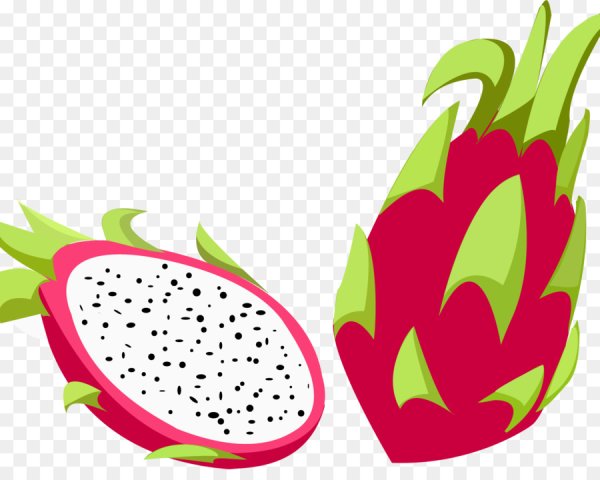 Питахайя фрукт стилизация