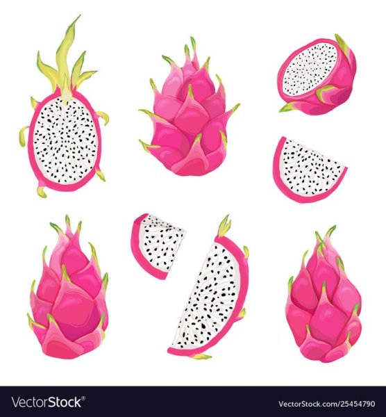 Питайя Драконий фрукт вектор