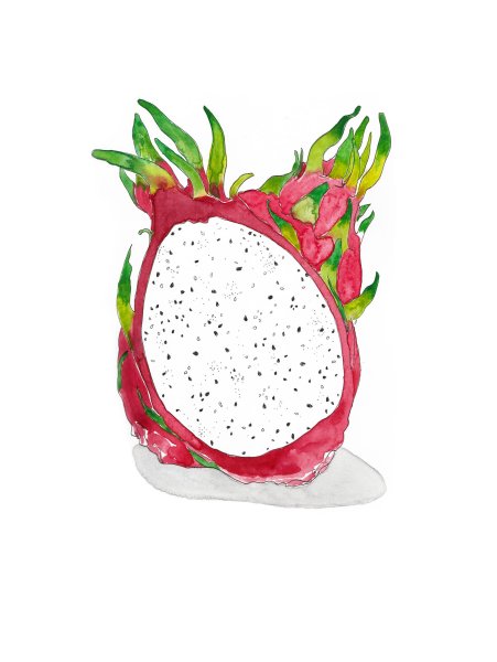 Драконий фрукт акварелью