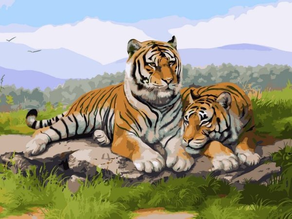 Тигр в природе