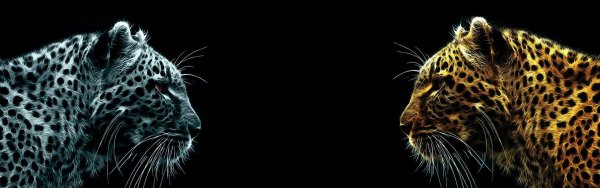 Заставка на рабочий стол на два монитора