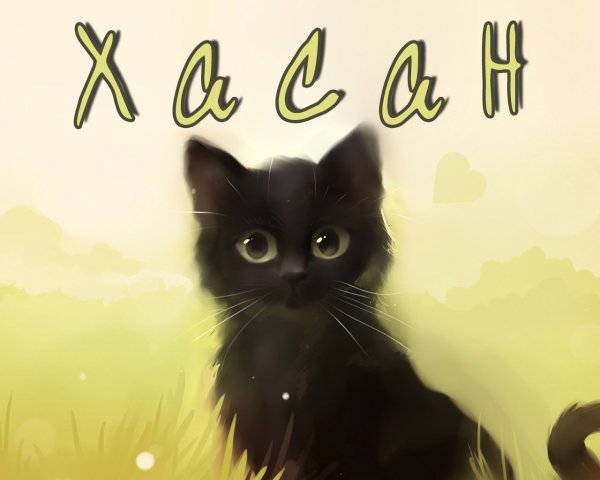 Котята аниме