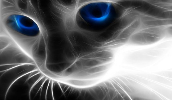 Красивые аватарки