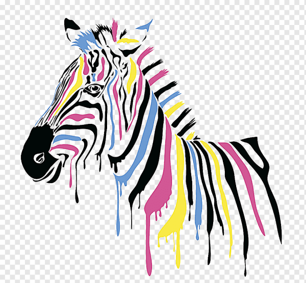 Разноцветная Зебра