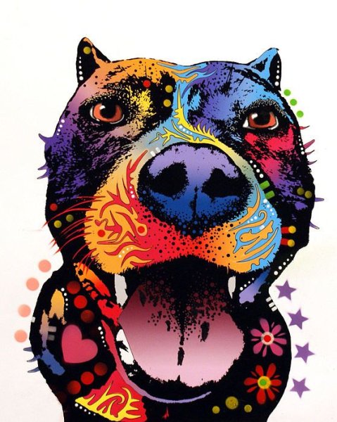 Поп арт животные
