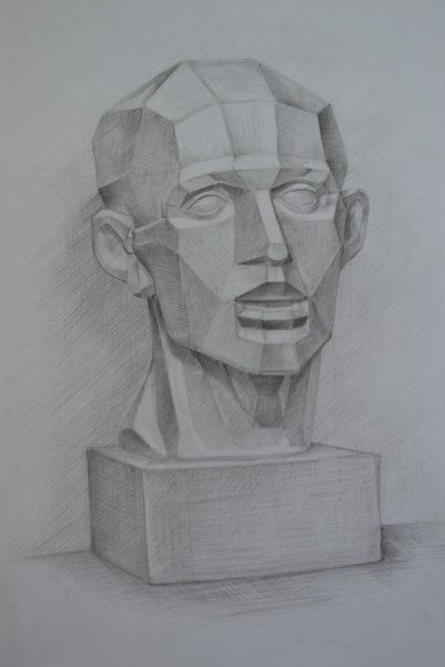 СФУ рисунок гипсовой головы