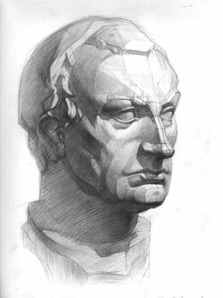 Гаттамелата гипсовая голова Академический рисунок