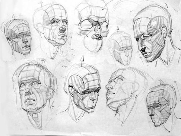 Анатомия в ракурсе снизу